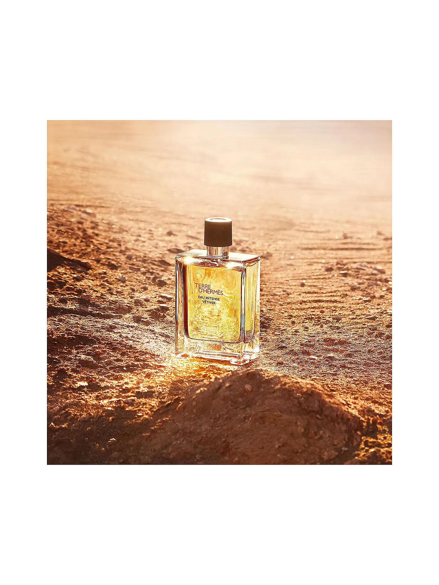 HERMÈS | Terre d’Hermès Eau Intense Vétiver Eau de Parfum 100ml | 